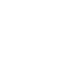 Drone Footage