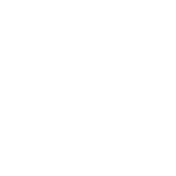 Social Media Management